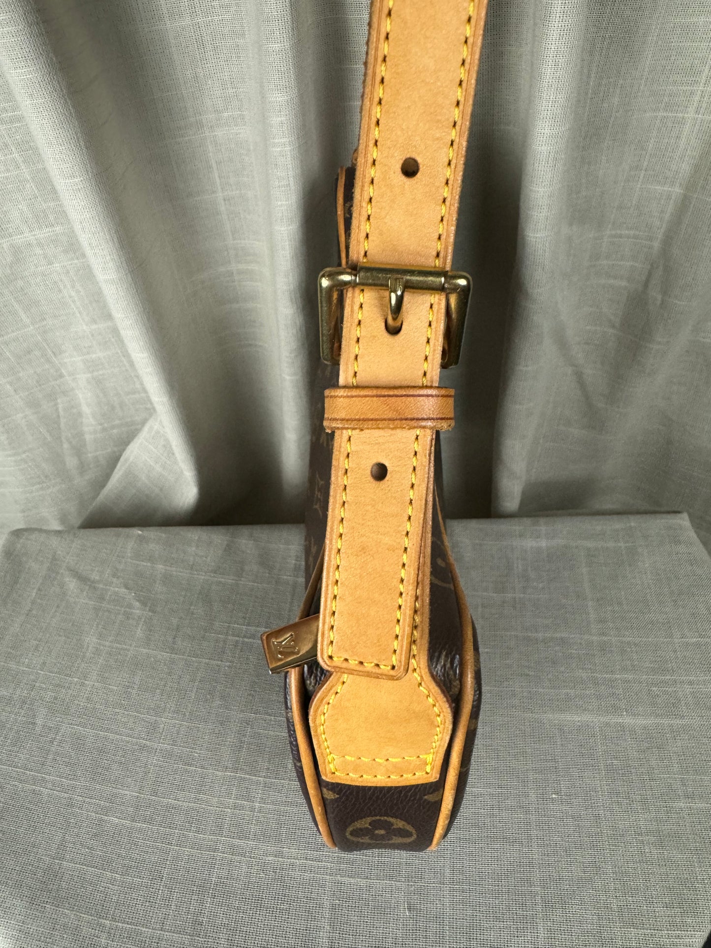 Louis Vuitton Monogram Croissant PM Schoudertas